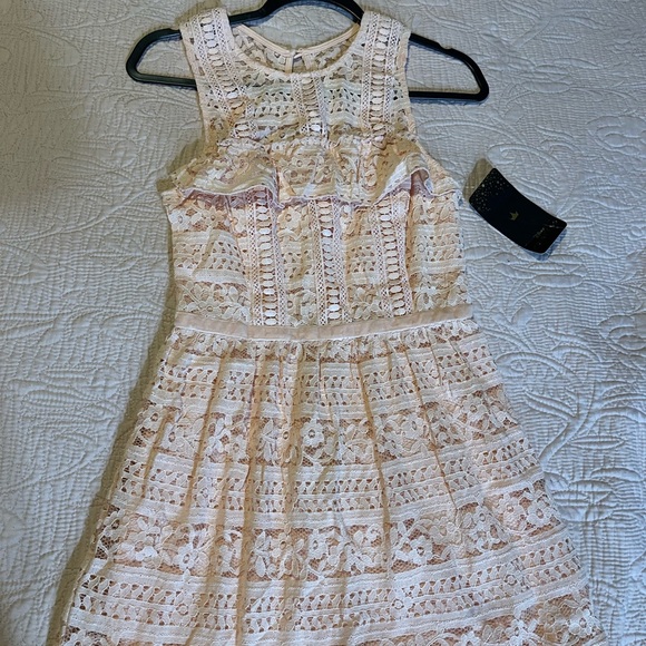 Disney Blush Pink Lace Dress - Picture 9 of 9